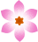 A graphic of a pink cherry blossom with six petals and a reddish-brown center.