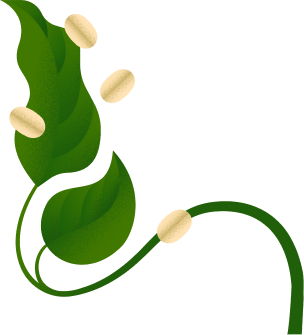 Leaf Illustration